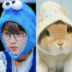 [TXT모아] 안뇽 나 오랫만에 왔는데 <b>예판</b>