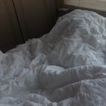 이불 <b>흰색</b> 살걸 그랬나