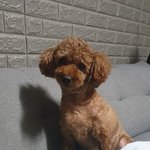 <b>장수</b>가 <b>장수</b>막걸리를..ㅋㅋ