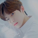 [프듀X] 탈주는 없다 (<b>ex</b>. 모구정)