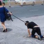 [댓글부탁해] 강아지랑 고양이중에 뭘 <b>분양</b>받으면 좋을까?