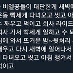 [BL] 현대물 <b>공들</b>이 대단한 이유