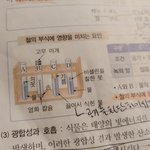 중3과학 질문 ㅠ