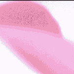 [댓글부탁해] 장동윤 미모 <b>미치</b>;;;;와우