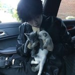 [드루와] 호식이치킨이랑 <b>비비큐</b>중에 추반해줄이쁜이 ㅠ