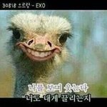 [드루와] 시험기간 기념 인체/심해/우주 썰이나 지식 <b>풀자</b>긔