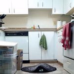 까불다간 큰일 날 것 같은 <b>존재들</b>