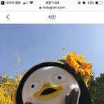 [프듀X] 그러게 다들 <b>강행</b>하지말라고하는데 굳이