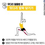 [조언부탁해] 얘 나한테 열등감있는거야 ?