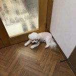 [세훈] 191001 고독한 세<b>훈방</b> 사진 모음2