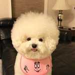 [드루와] 너네 친구한테 <b>감동</b>받은 적 있냐