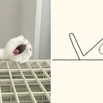 귀요미들 또 <b>대충</b> 그려봄