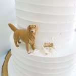 자꾸 <b>감상</b>하게 만드는 케이크들