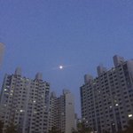 [댓글부탁해] 전<b>단지</b>알바 할때