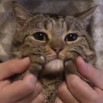 얘들아 급해 <b>변명</b>거리 추천좀