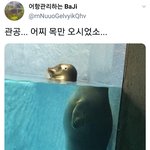 내가 생각하기에 아이돌은