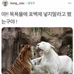 월급 40만원인데 군것질하느라 하루에 만원씩 쓰는거 <b>사치</b>다 추반