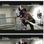 프듀 착한 <b>주작</b>거리는 인간들 특징.jpg
