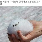 [드루와] 이번에 시험개잘봄 기받아가