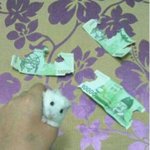 후드<b>집</b><b>업</b> 브랜드 추천좀 해줘잉