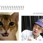 [강다니엘] 다니<b>티들</b> 1210절중
