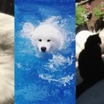[강다니엘] 강다니엘 트래블도그 <b>1</b>, <b>2</b>화 요약+3화 스포
