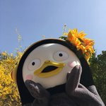 [댓글부탁해] 너네 ㅅㄹ하면서 했던 가장 충격적인 일이 뭐야?