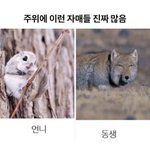 [드루와] <b>수련</b>회 얼마 가져갈까