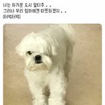 [드루와] 혐) 나 <b>쌍</b><b>액</b>하는데 눈감으면 이케 됨ㅋㅋ