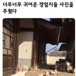 운동화 다들 뭐 <b>신어</b>