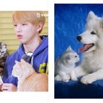 [강다니엘] ㅋㅋㅋㅋㅋㅋㅋㅋ