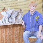 [강다니엘] 냥<b>장판</b>이래ㅋㅋㅋㅋㅋㅋㅋ