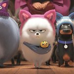 [댓글부탁해] 나 눈 약간 <b>삼백</b>안인데 진짜 빡침;;;;