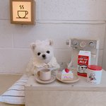 [강아지] <b>랄라</b> 우리집 뽀시래기들 - 알바하기