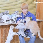 [강다니엘] 이것이 바로 냥<b>장판</b> ꉂꉂ(·•︠ ᗜ•︡) ㅋ⫬ㅋ⫬ㅋ⫬ㅋ⫬ㅋ⫬