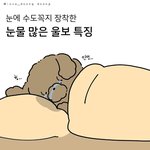 [모두드루와] <b>눈물</b>이 많은 사람들 특징