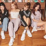 블핑 블랙핑크 지수 <b>리사</b> 로제 제니