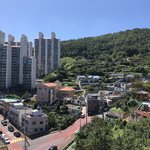 자메이카 <b>통다리</b>는 치킨보다 칼로리 낮겠지