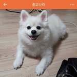 [모두드루와] 중고나라 직거래 <b>유도</b> 빌런