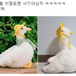 [모두드루와] <b>오리</b> 인형 사기 당함