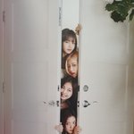 블핑 블랙핑크 지수 <b>리사</b> 로제 제니