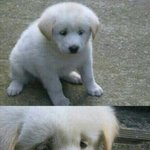애들아 <b>설레</b> 두ㅣ지는 영화 추천 좀