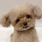 다이어트 꿀팁있는 사람 이번 시험<b>만점</b>