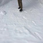 [댓글부탁해] 싸고 예쁜 데일리 <b>시계</b> 추천해 주세요