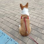 긍정적인 성격이 되는법!!