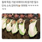[댓글부탁해] 헐 <b>졸귀</b> ㅋㅋㅋㅋㅋ