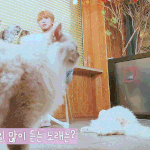 [강다니엘] 고먐미 커넥트<b>직원</b>설