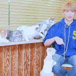 [강다니엘] 츄르 내놔 멈<b>무야</b> ‪ฅ^.•ﻌ•^ฅ‬