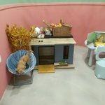 [강아지] 우리집 강아지 솜이