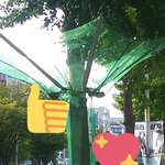 [드루와] 가을마다 고통받던 인류는 드디어 <b>발전</b>했다...